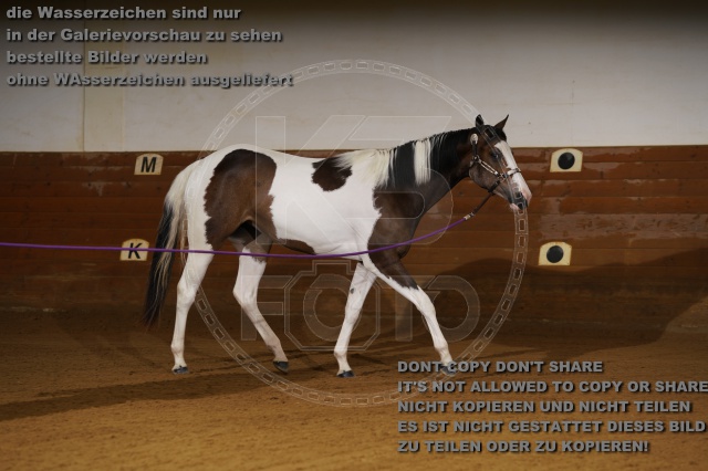 s_K3F01759.JPG
